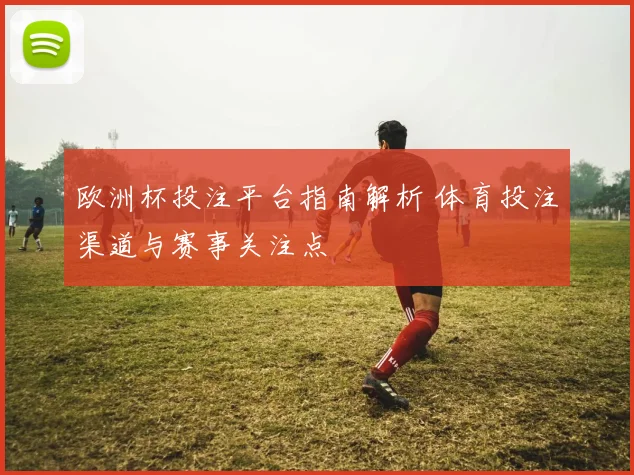 欧洲杯投注平台指南解析 体育投注渠道与赛事关注点