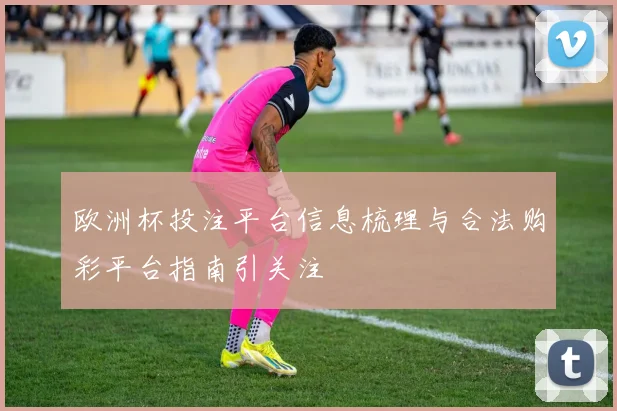 欧洲杯投注平台信息梳理与合法购彩平台指南引关注