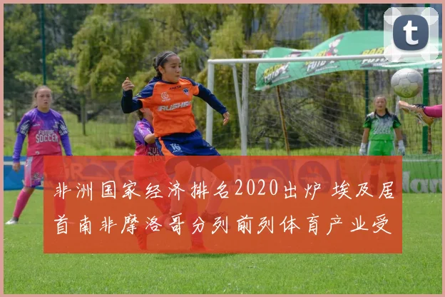 非洲国家经济排名2020出炉 埃及居首南非摩洛哥分列前列体育产业受关注